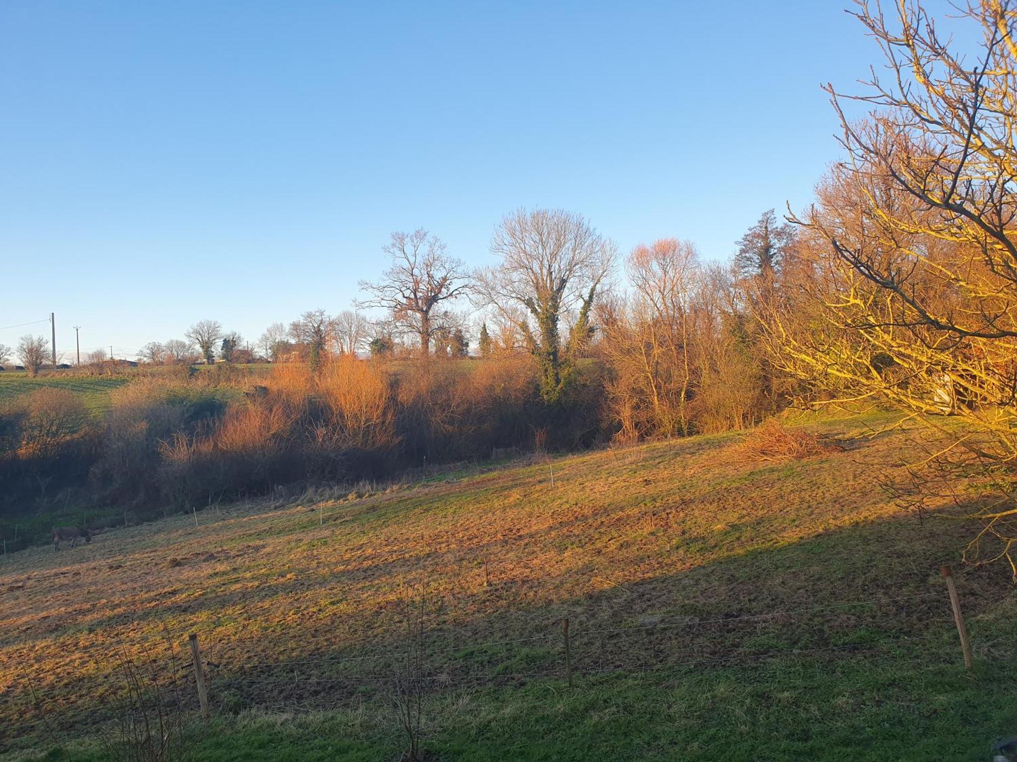 Gîtes La Vicomterie Ver  Exterior foto